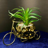 Dazzling Decor Vintage Golden Tricycle Ceramic Planter - Dazzling Decor